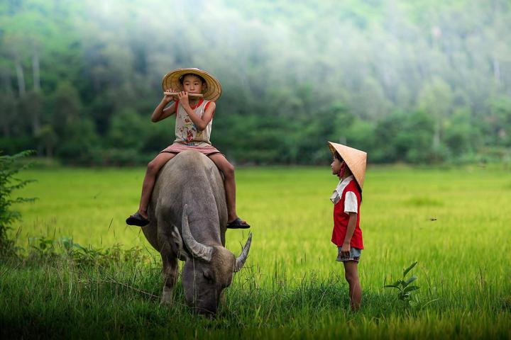 Xu hướng Mua váy hoa mà không biết 4: Hotspot Matrix tiết lộ bí quyết video viral_dịch vụ hậu kỳ video